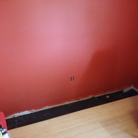 Painted wall.